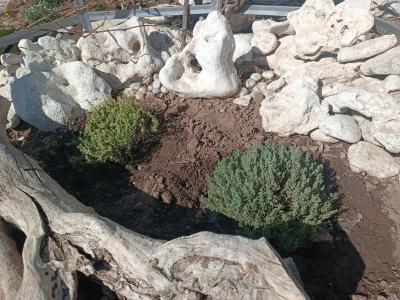 Прикрепленное изображение: Resizer_16965983754603.jpeg